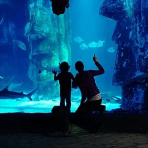 SEA LIFE Aquarium