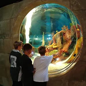 Blue Reef Aquarium