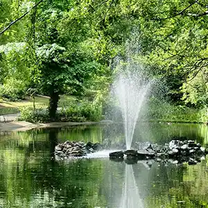 Arboretum