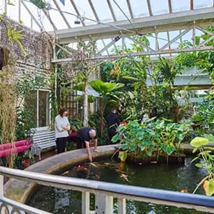 The Birmingham Botanical Gardens