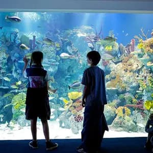 Bristol Aquarium