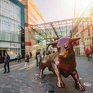 Bullring & Grand Central 