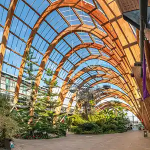 Winter Garden