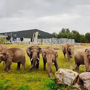 Blackpool Zoo